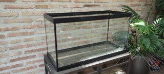 Acuario de Cristal Negro y Transparente