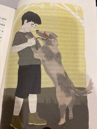 Libro quen salva un can en gallega