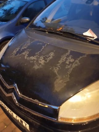 Citroen C4 2010