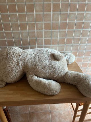 Orsacchiotto peluche gigante beige