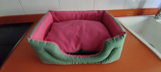 Lote Accesorios Gato: Arenero, Cama, Transportín