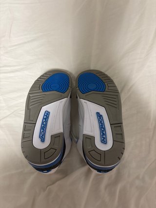 Jordan 3 Azules y Blancas