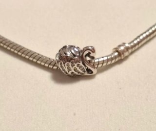 Charm Cisne