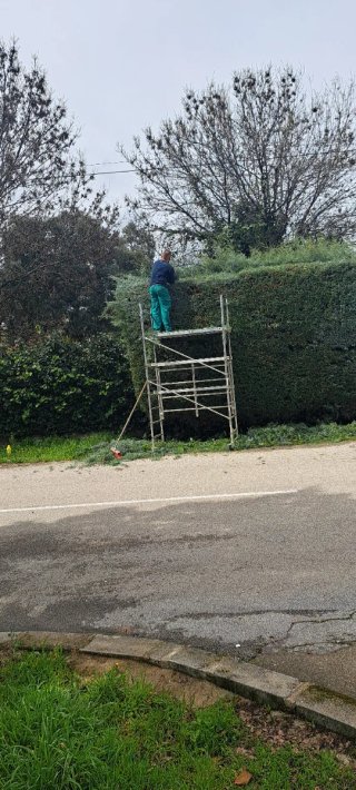 Jardinero