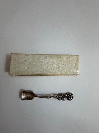 Cuchara Carl Clauberg Rosa Plata