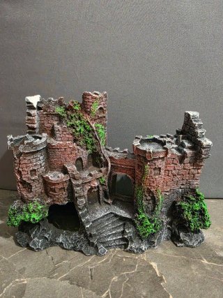 Castillo Acuario/Gambario Ruinas Decoración