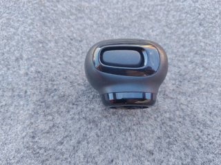 Pomo citroen berlingo 2022
