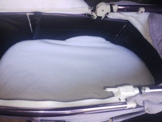 Carrito de bebé morado