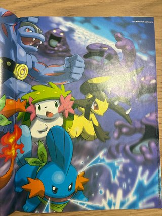 REVISTA Pokémon - 8ª entrega - Suplemento de Ninte