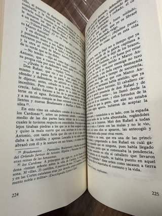 Novelas ejemplares II