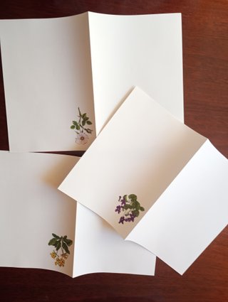 JUEGO DE MATERIAL PARA ESCRIBIR CARTAS