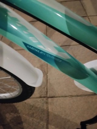 Bicicleta infantil niña mint.