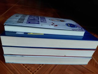 Trilogia de la asistenta y boda de la asistenta