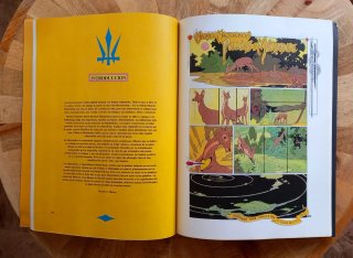 Cómic de óperas ilustrado por Craig Russel.