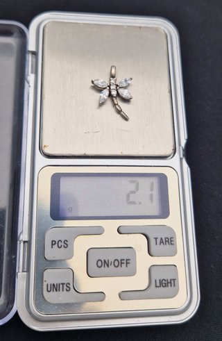 Colgante Plata 925 Cigarra