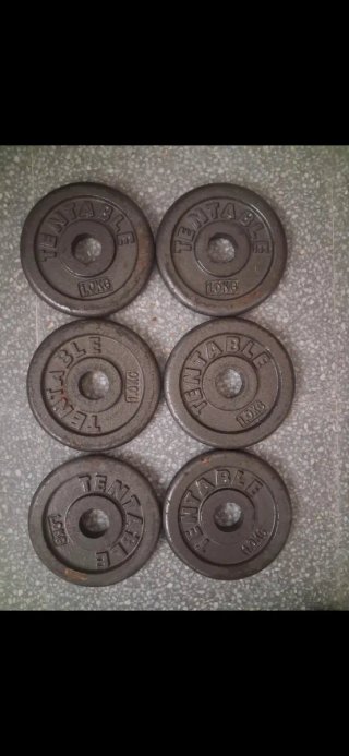 6 Discos de Pesas 1kg