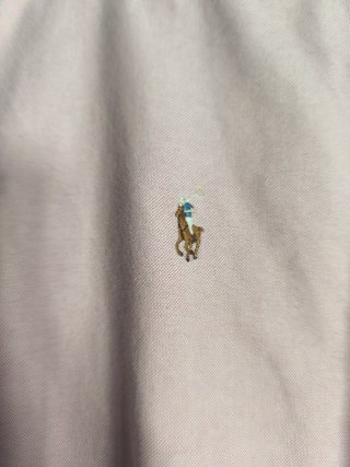 Camisa Polo Ralph Lauren niño rosa