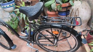 Bicicleta Urbana Paseo Adulto