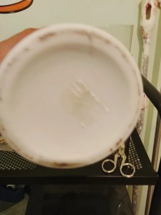 Jarrón de cerámica blanco con flor roja