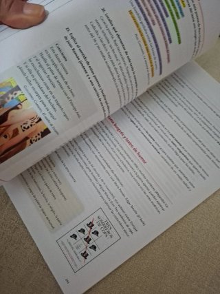 Lengua Castellana y Literatura, 2 Bach, Proyect...