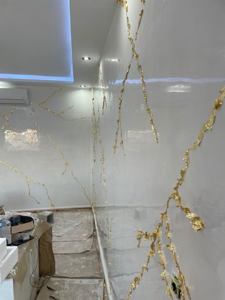 Reforams y pintura y pladur  ...