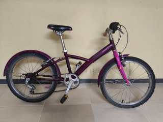 Bicicleta infantil 20