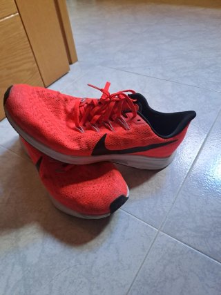 Nike Air Zoom Pegasus 35 Rojas