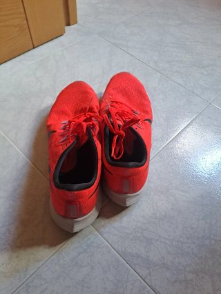 Nike Air Zoom Pegasus 35 Rojas