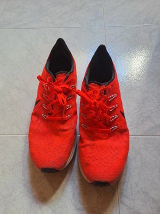 Nike Air Zoom Pegasus 35 Rojas