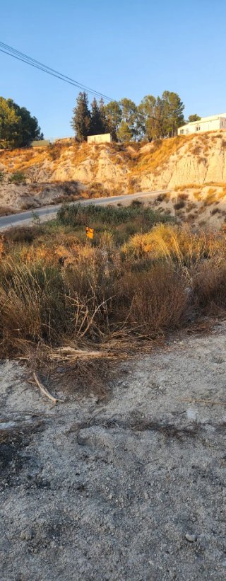 Terreno rustico. Los rodeos