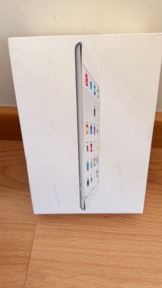 iPad mini Plata