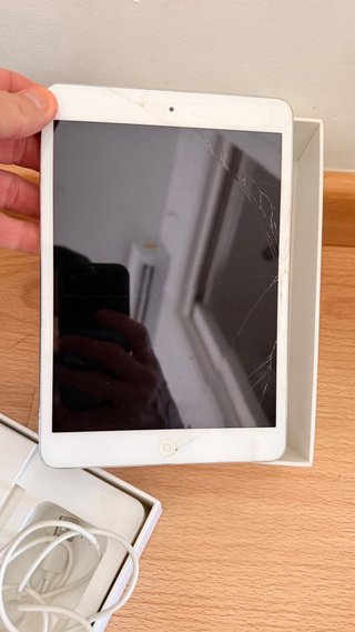 iPad mini Plata