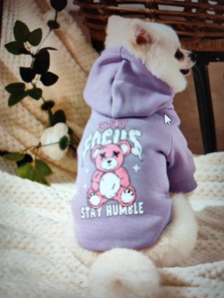 Sudadera morada para perro con dibujo