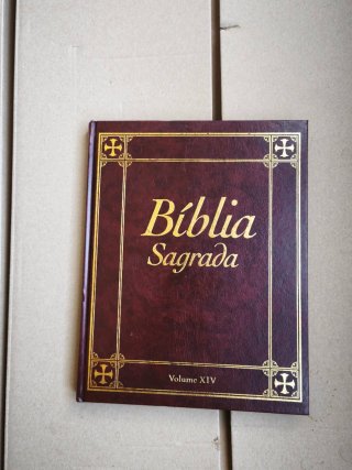 Bíblia Sagrada Volume XIV