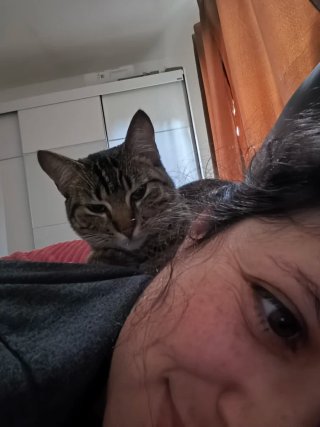 Cuidado y Paseos de Mascotas a Domicilio