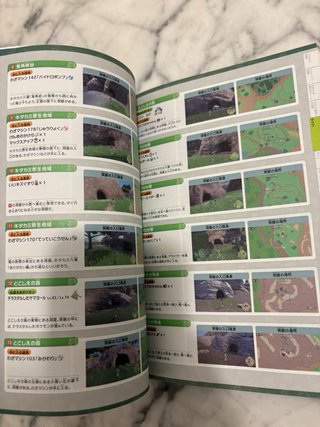 Guide Pokemon Scarlet Violet Switch JP