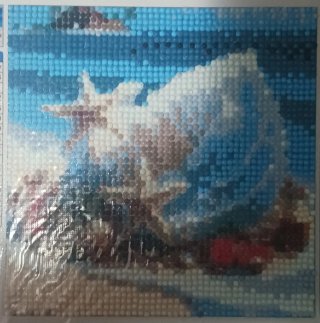 Lienzo Pintura Diamante Caracola