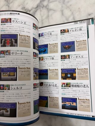 Guide Final Fantasy 20 Anniversary Ultimania JP