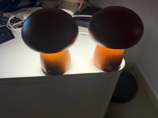 2Lámparas Seta Madera Recargable Marrón