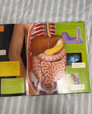 Libro del cuerpo humano