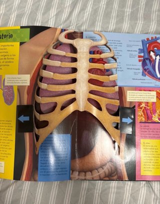 Libro del cuerpo humano