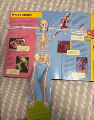 Libro del cuerpo humano