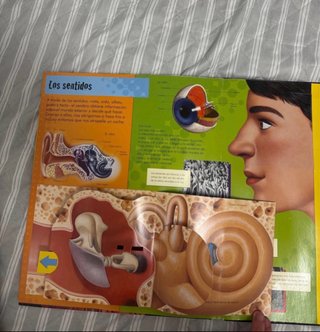 Libro del cuerpo humano