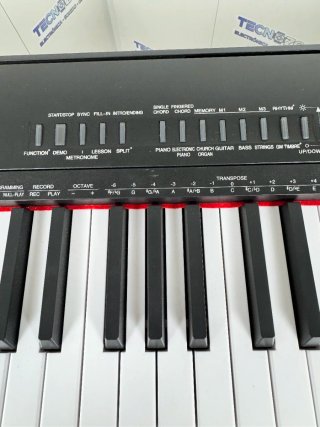 Teclado 88 teclas + soporte