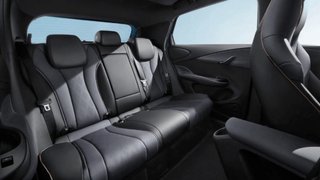 RENTING - BYD Dolphin 2026