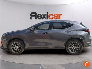 Lexus NX 450h+ Executive 4WD