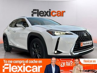 Lexus UX 2.0 250h Business