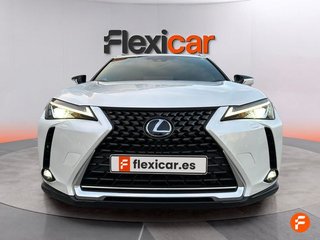 Lexus UX 2.0 250h Business