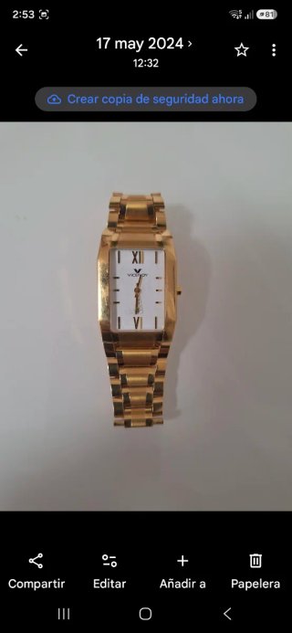 Reloj Viceroy Oro Swiss Movement AM-503-006