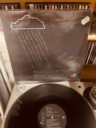 The Cult - Rain (Vinilo Importado)